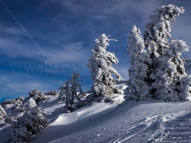 Paysage-neige-webec