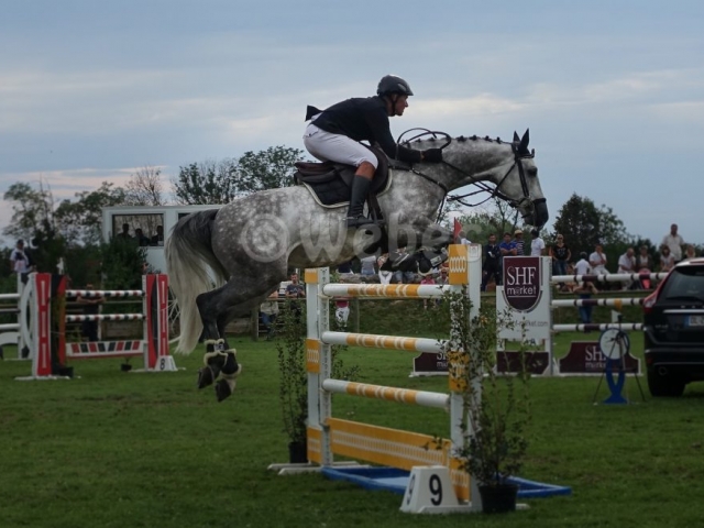Equitation_ffe_chevaux saut d obstacle-webec