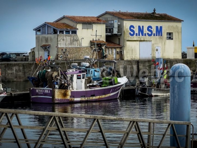 Port de peche_ile d oleron-webec